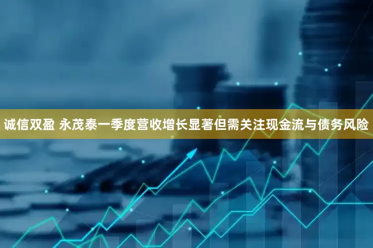 诚信双盈 永茂泰一季度营收增长显著但需关注现金流与债务风险