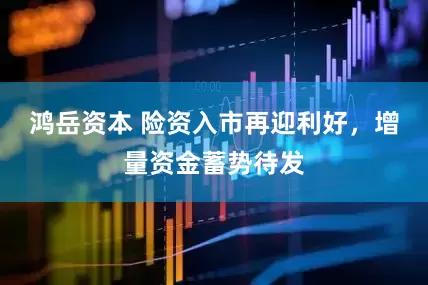 鸿岳资本 险资入市再迎利好，增量资金蓄势待发